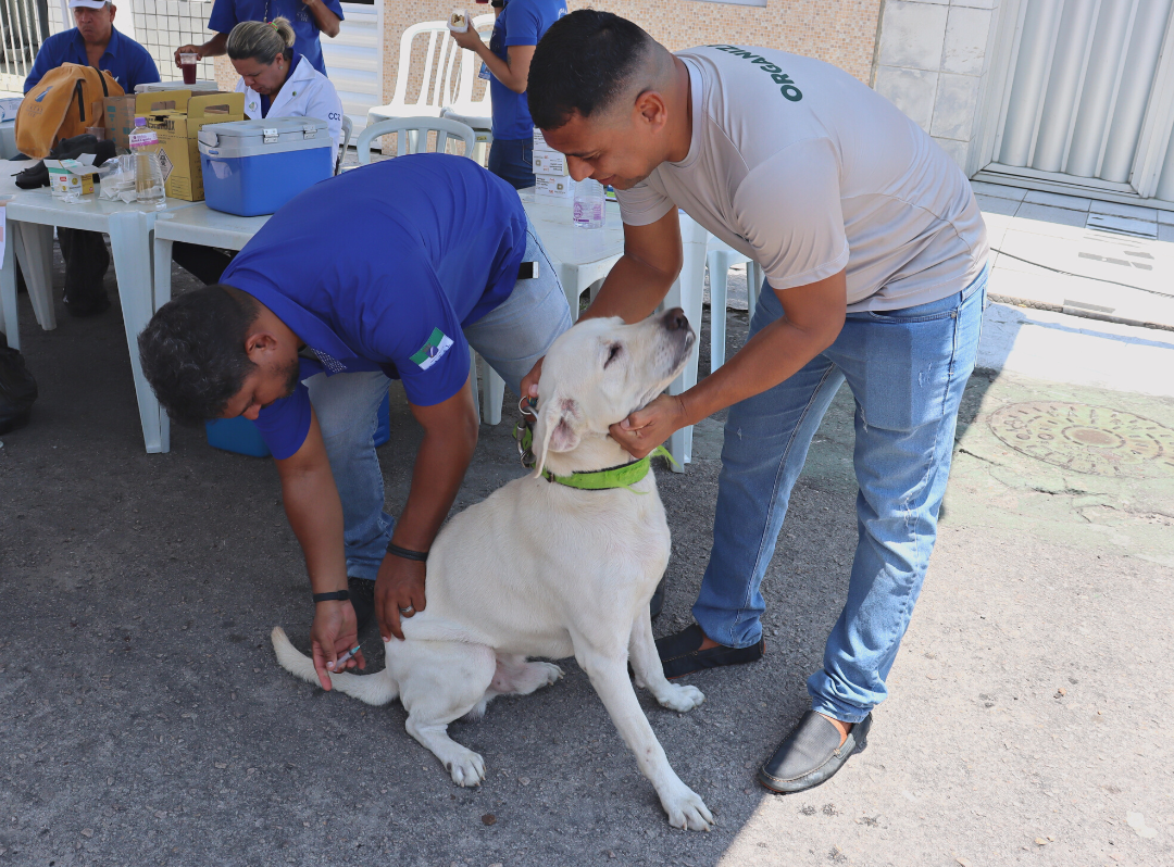 Campanha de vacinação antirrábica em Natal segue até 31 de outubro, com postos fixos e vacinação porta a porta em diversos bairros da capital.