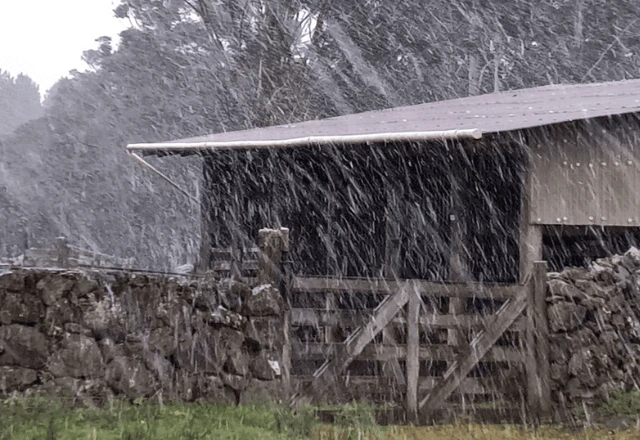 Neve em São José dos Ausentes (RS) na manhã desta quinta (29)
