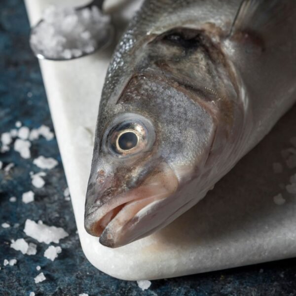 Sesap investiga quatro casos suspeitos de intoxicação por ciguatera em Touros, no litoral Norte do RN, após consumo de peixe.