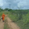 Idoso desaparecido resgatado por bombeiros em São Paulo do Potengi