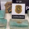 Operação combate tráfico de drogas em Caraúbas