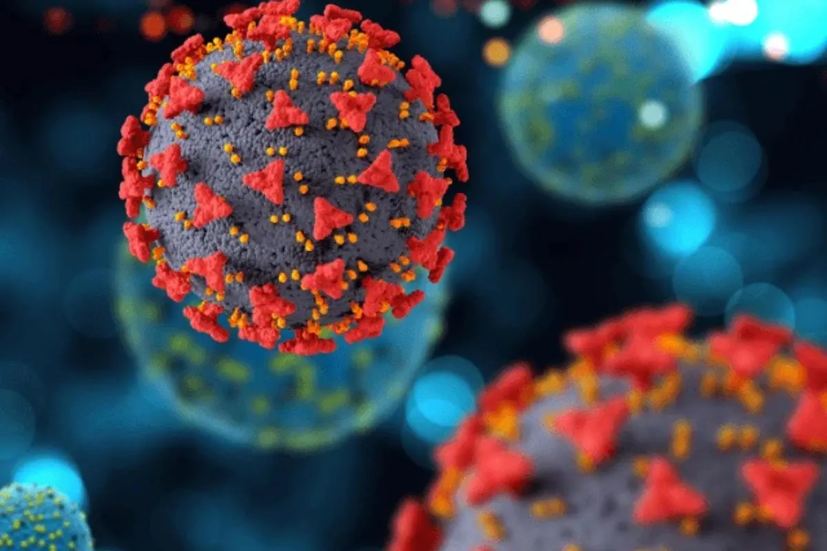RN confirma circulação da linhagem XFG da variante Ômicron em Natal. Casos são monitorados e não indicam maior gravidade ou risco às vacinas.