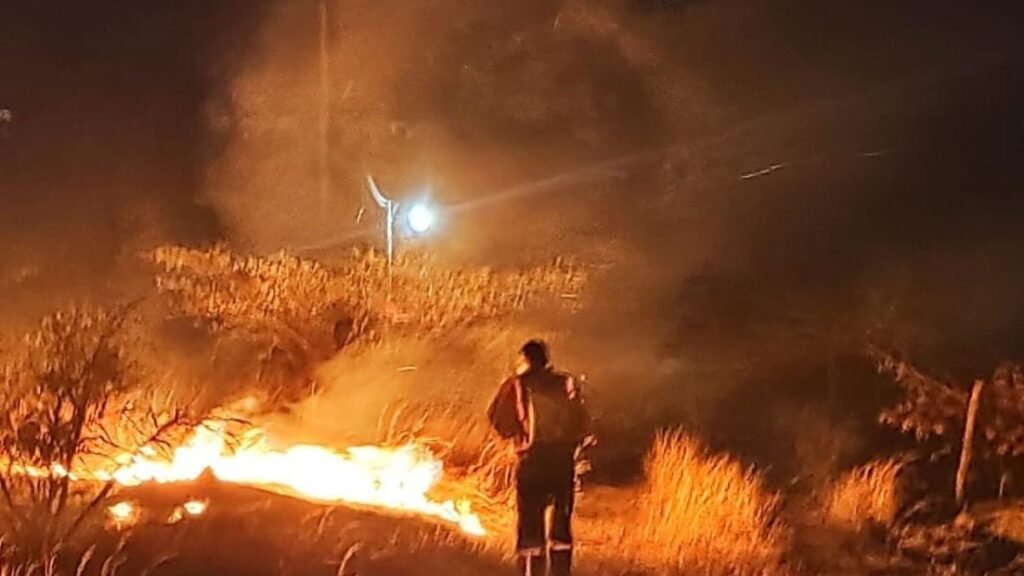 Bombeiros combatem incêndio em vegetação em Caicó