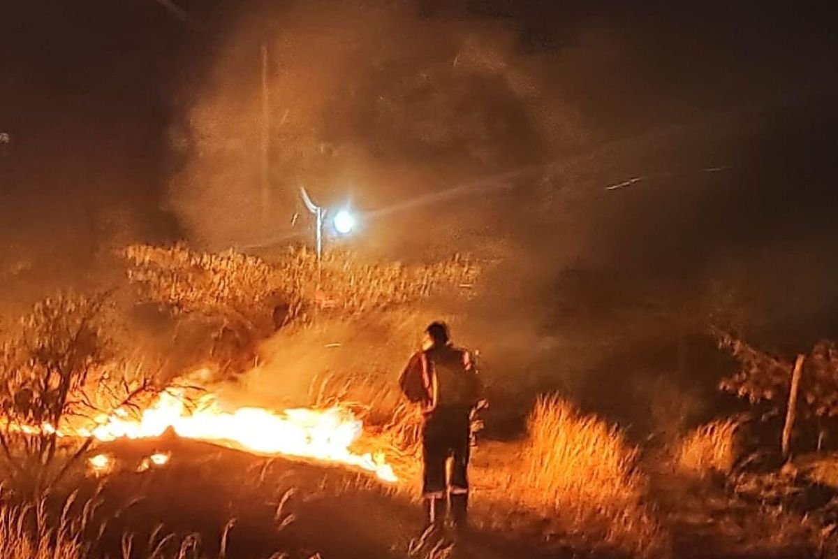 Bombeiros combatem incêndio em vegetação em Caicó