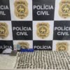 Foram apreendidos: 282 porções de maconha