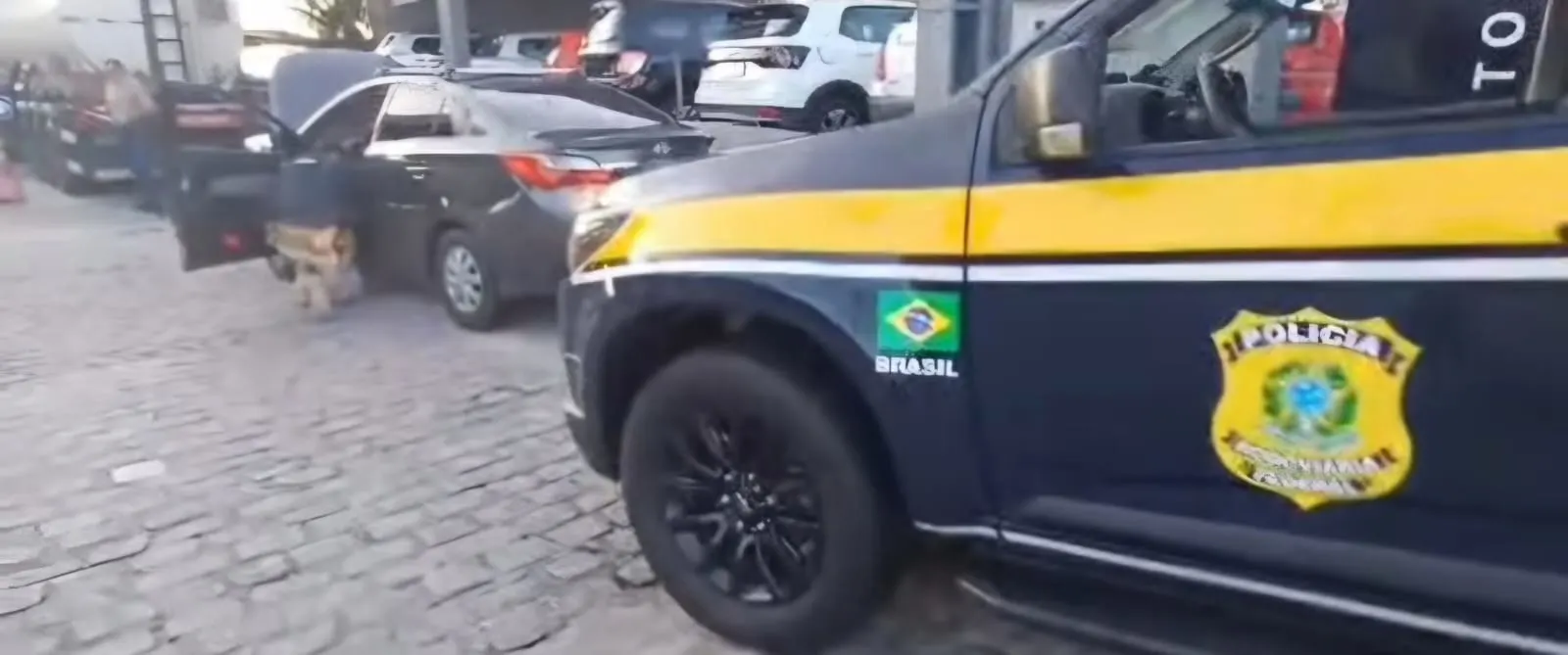 PRF prende homem em Natal por receptação e falsificação