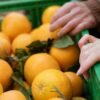 Entre os itens excluídos do tarifaço estão suco de laranja congelado, celulose, produtos de energia, fertilizantes e aeronaves civis e suas peças.