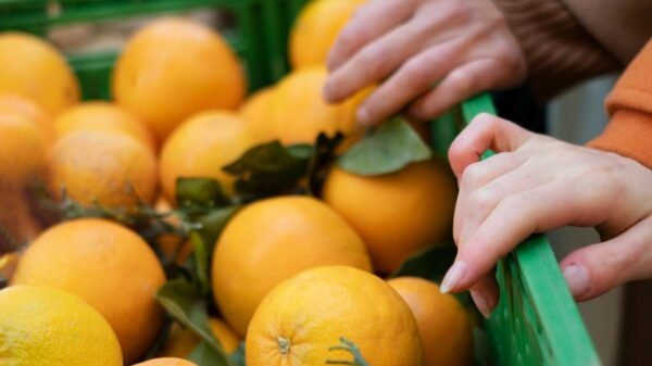 Entre os itens excluídos do tarifaço estão suco de laranja congelado, celulose, produtos de energia, fertilizantes e aeronaves civis e suas peças.