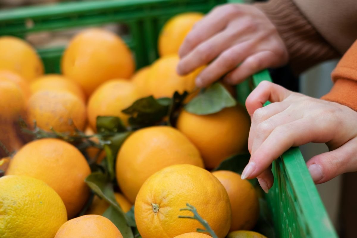 Entre os itens excluídos do tarifaço estão suco de laranja congelado, celulose, produtos de energia, fertilizantes e aeronaves civis e suas peças.