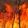 Em agosto do ano passado, somente num final de semana, o Corpo de Bombeiro Militar do Estado do Rio Grande do Norte (CBM-RN) registrou 24 incêndios florestais