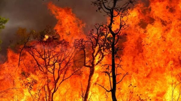 Em agosto do ano passado, somente num final de semana, o Corpo de Bombeiro Militar do Estado do Rio Grande do Norte (CBM-RN) registrou 24 incêndios florestais
