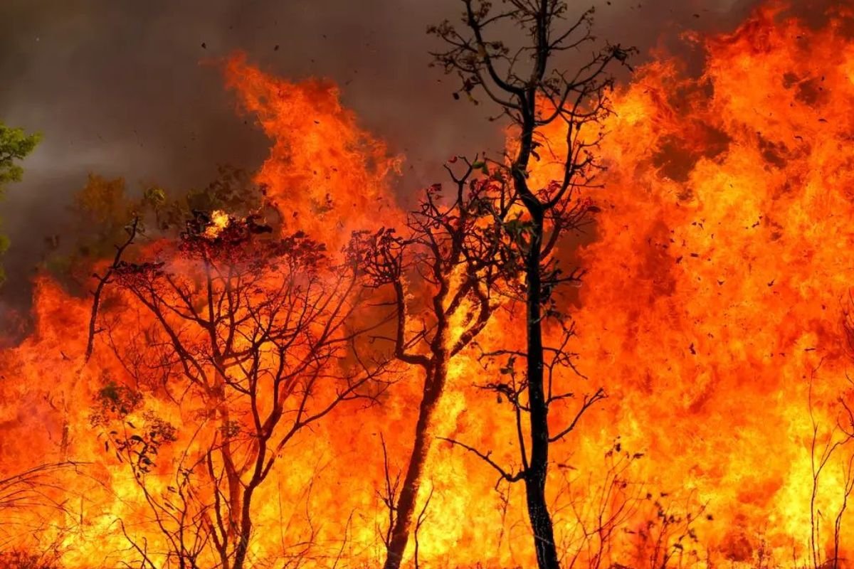 Em agosto do ano passado, somente num final de semana, o Corpo de Bombeiro Militar do Estado do Rio Grande do Norte (CBM-RN) registrou 24 incêndios florestais