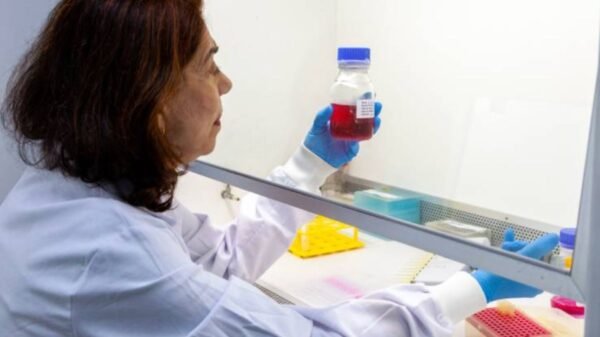 Anticorpo contra Zika, desenvolvido pelo Butantan, busca proteger grávidas e prevenir malformações em bebês. Estudo clínico será realizado em breve.