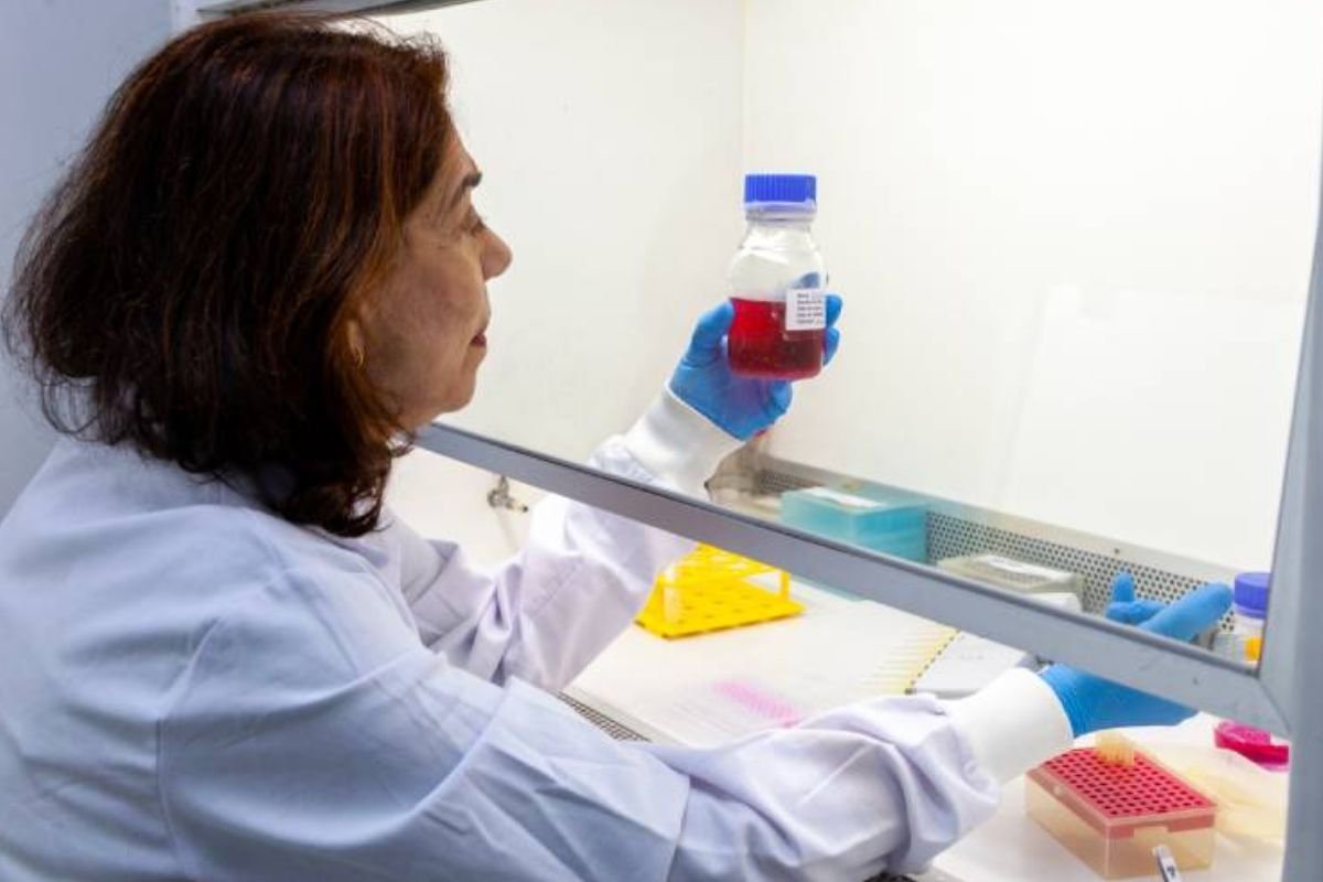 Anticorpo contra Zika, desenvolvido pelo Butantan, busca proteger grávidas e prevenir malformações em bebês. Estudo clínico será realizado em breve.