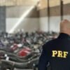 PRF realiza leilão de 120 veículos conservados e 143 lotes de sucata em Natal, Mossoró e Caicó nesta quinta (27), a partir das 9h.
