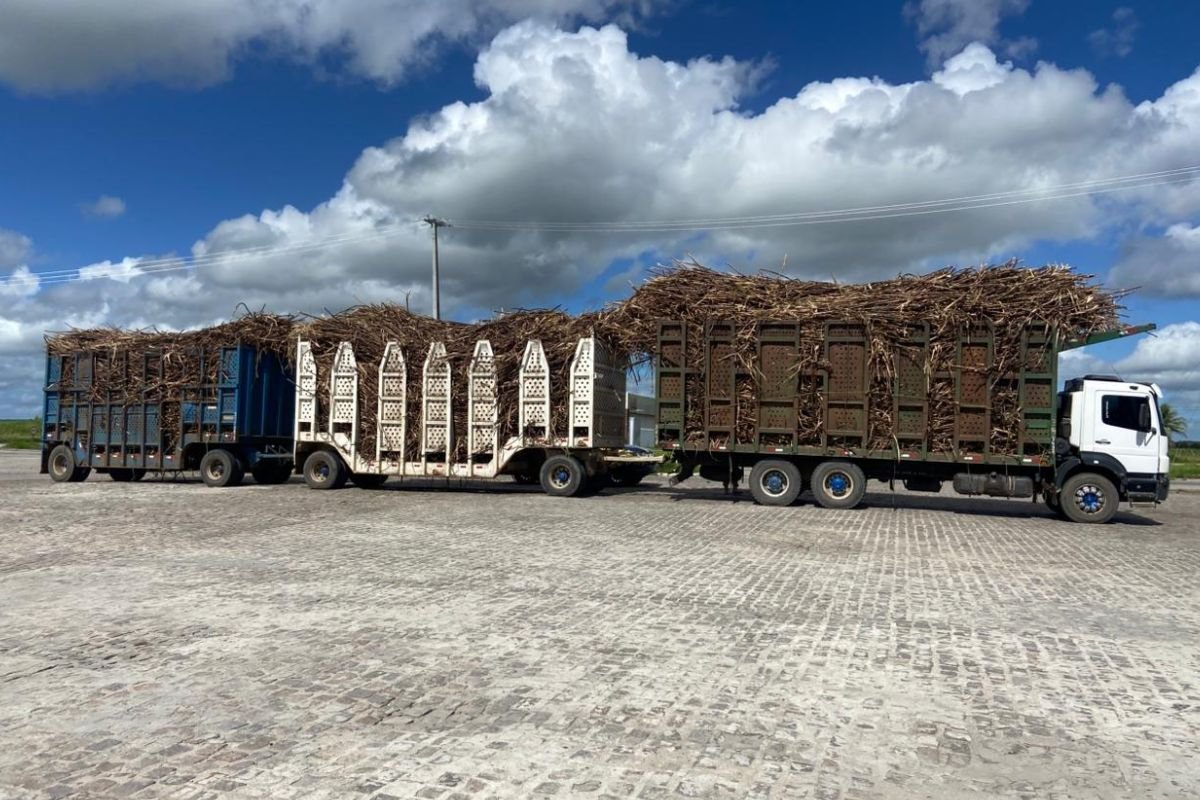 PRF inicia Operação Peso Legal no RN. Caminhões com excesso de peso e motoristas com drogas e "rebite" são flagrados em fiscalizações na BR-101.