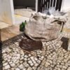 Fiscalização da Semurb flagra resort em Ponta Negra com ligação irregular de drenagem no sistema público de esgoto e aplica multa grave.