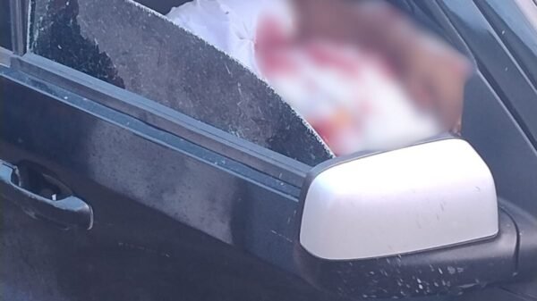 Comerciante foi morto a tiros dentro do carro de entregas enquanto trabalhava em São Gonçalo do Amarante.