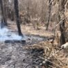 Incêndio em vegetação em Assú mobiliza bombeiros do RN