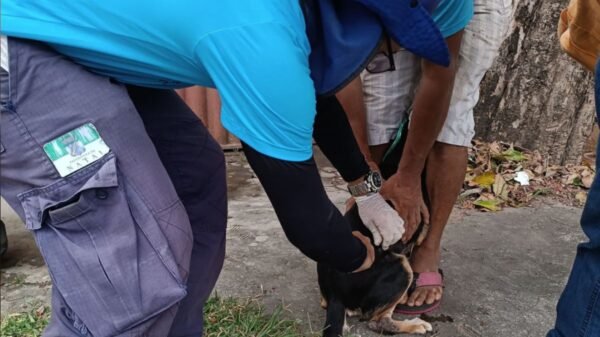 Campanha de vacinação antirrábica continua neste sábado (16) em Natal com postos fixos e ação porta a porta para cães e gatos.