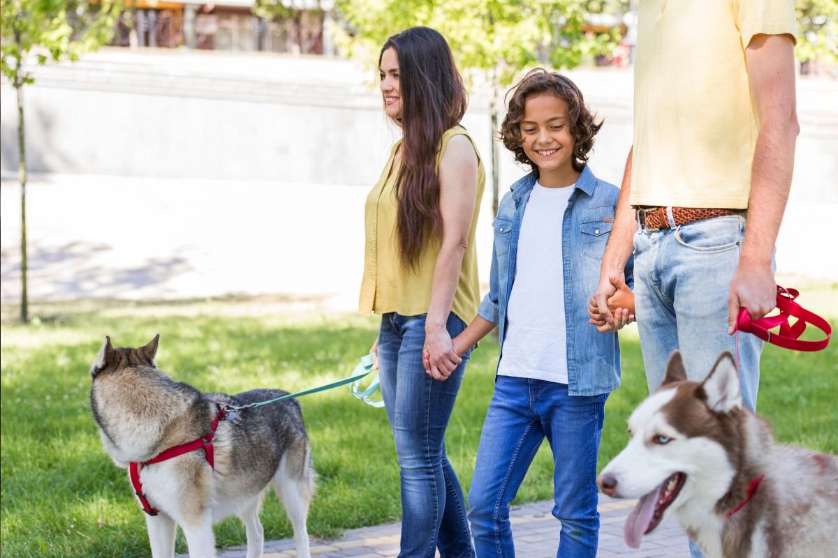 Câmara de Natal derruba veto e aprova presença de pets em feiras e eventos. Também criou o Dia do Auxiliar de Trabalho Evangélico no calendário oficial.