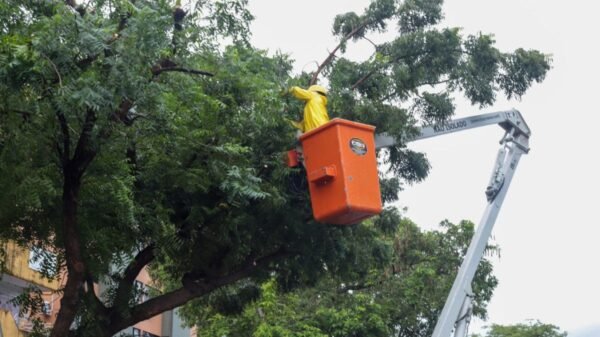Prefeitura de Natal interdita trecho da rua Mossoró nesta quinta (21) para supressão vegetal e rebaixamento de árvores. STTU orienta motoristas e pedestres.