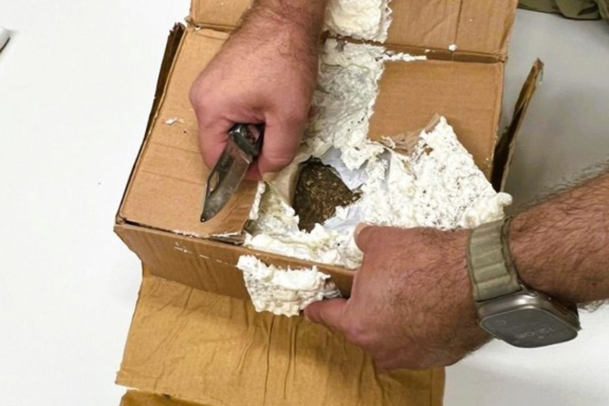 Polícia Federal apreendeu 1 kg de maconha em encomenda postal nesta sexta (12) em Natal, com apoio de cão farejador.