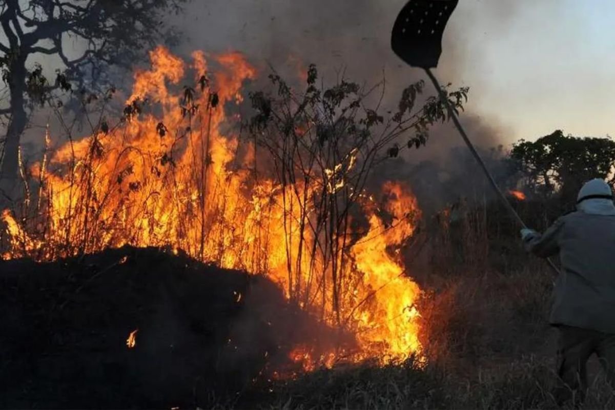 Dados do Painel do Fogo, plataforma interativa do Governo Federal, mostram 86 ocorrências de incêndios e queimadas no estado entre agosto e setembro