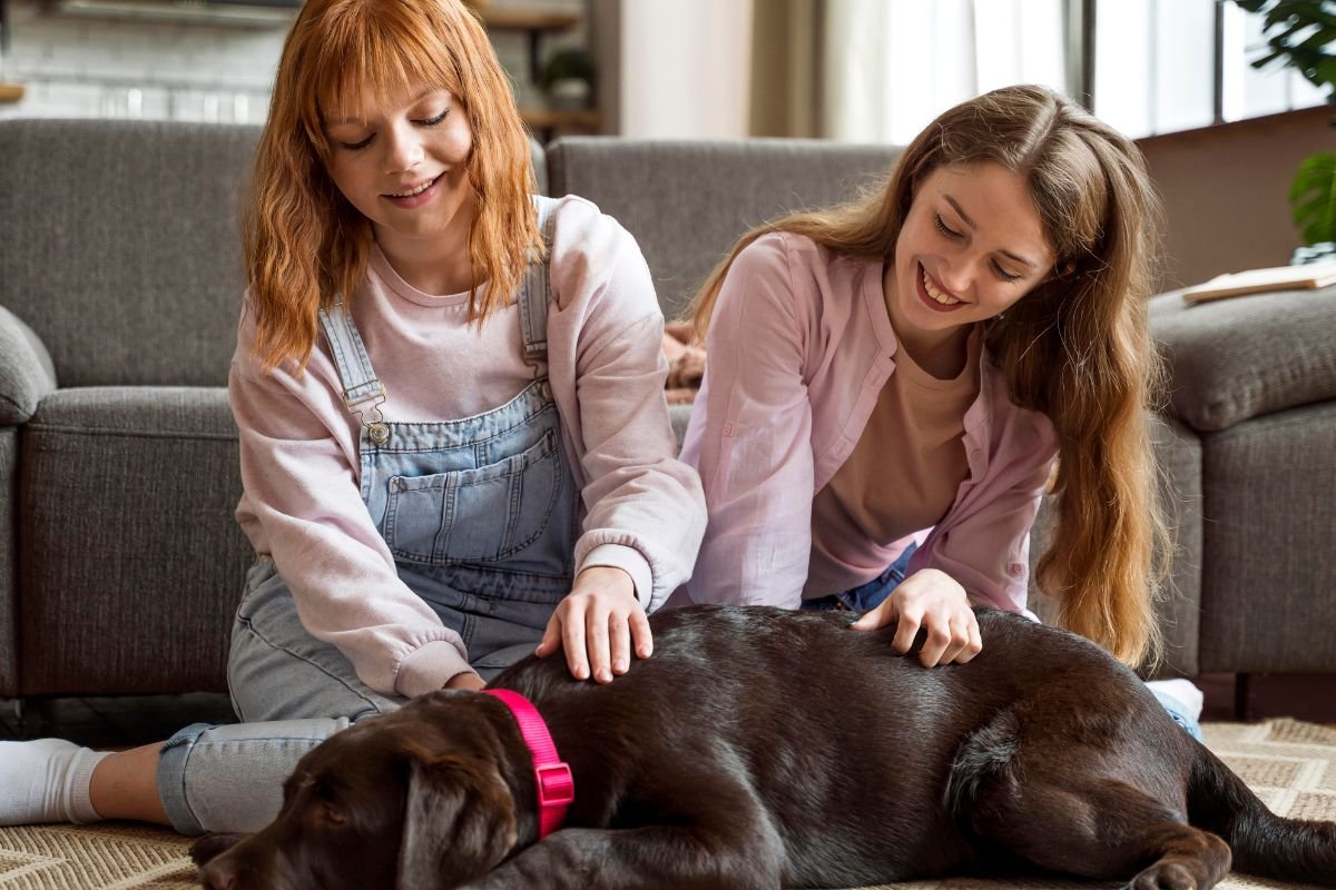 Sepultamento de animais junto aos tutores agora é lei em Parnamirim, assegurando às famílias o sepultamento de seus animais de estimação.