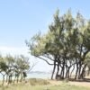 Governo do RN publica licitação para construir o Costeira Parque, novo espaço de lazer e turismo na Via Costeira, com investimento de R$ 22 milhões.