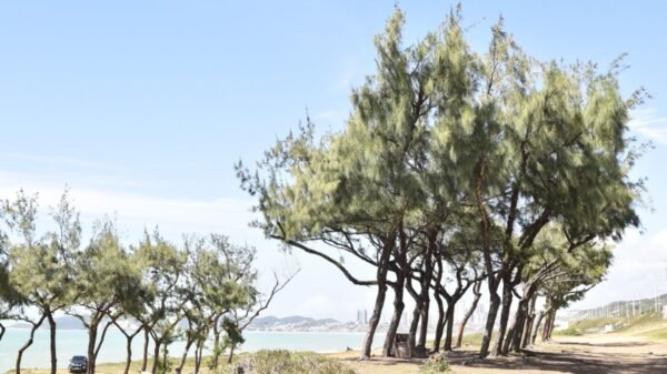 Governo do RN publica licitação para construir o Costeira Parque, novo espaço de lazer e turismo na Via Costeira, com investimento de R$ 22 milhões.