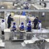Rio Grande do Norte gerou 5.339 empregos formais em agosto e acumula mais de 15 mil vagas em 2025. Agro, serviços e indústria lideraram crescimento.