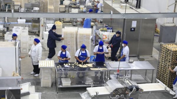 Rio Grande do Norte gerou 5.339 empregos formais em agosto e acumula mais de 15 mil vagas em 2025. Agro, serviços e indústria lideraram crescimento.