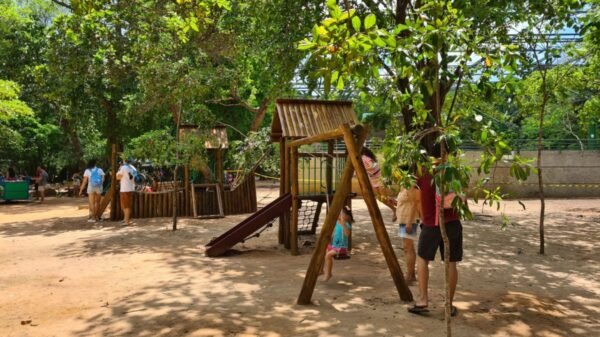 Parque das Dunas promove programação gratuita de 9 a 12/10 com trilhas, oficinas, teatro e música para celebrar o Dia das Crianças em Natal.