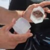 Natal inicia liberação de mosquitos Wolbachia em 33 bairros para reduzir dengue, Zika e chikungunya com biofábrica no bairro Felipe Camarão.