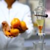 Pesquisadores da UFRN criam catalisador sustentável a partir da casca de tangerina para produzir biodiesel com baixo custo e alto rendimento.