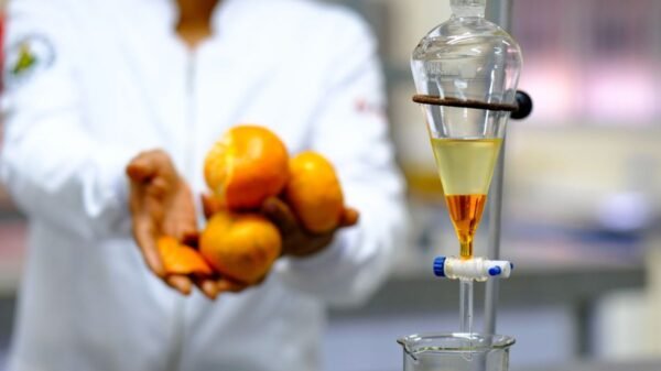 Pesquisadores da UFRN criam catalisador sustentável a partir da casca de tangerina para produzir biodiesel com baixo custo e alto rendimento.