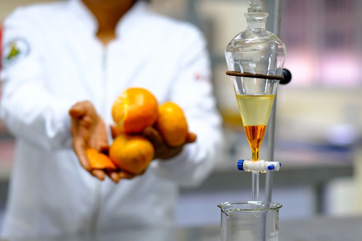 Pesquisadores da UFRN criam catalisador sustentável a partir da casca de tangerina para produzir biodiesel com baixo custo e alto rendimento.