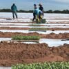 Clientes que receberam mensagem em fatura têm até 31/12/2025 para regularizar a situação e garantir desconto de até 90% na conta de energia