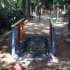 Parque das Dunas recebe meliponário educativo e nova trilha dos sentidos, fortalecendo ações de sustentabilidade e turismo no RN.