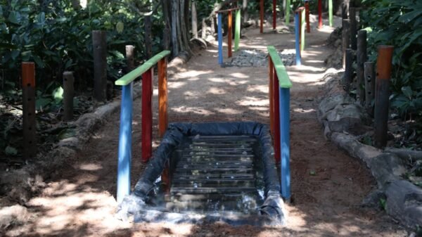 Parque das Dunas recebe meliponário educativo e nova trilha dos sentidos, fortalecendo ações de sustentabilidade e turismo no RN.