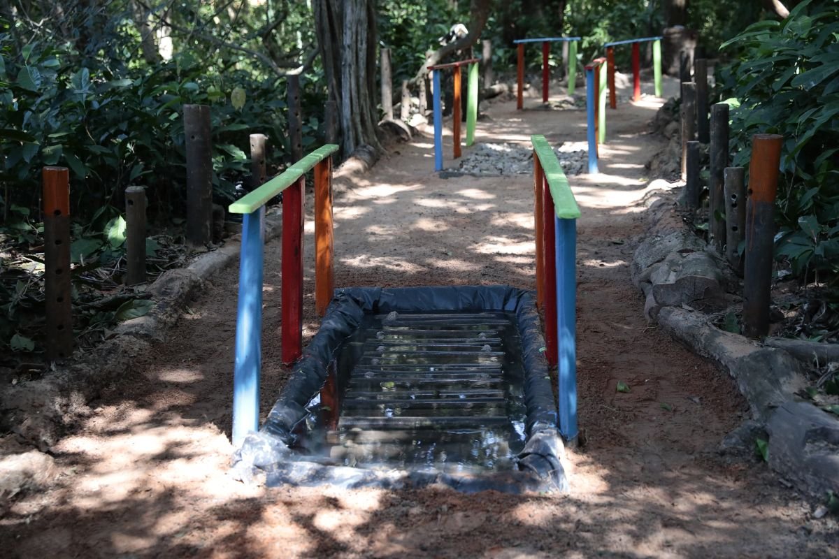 Parque das Dunas recebe meliponário educativo e nova trilha dos sentidos, fortalecendo ações de sustentabilidade e turismo no RN.