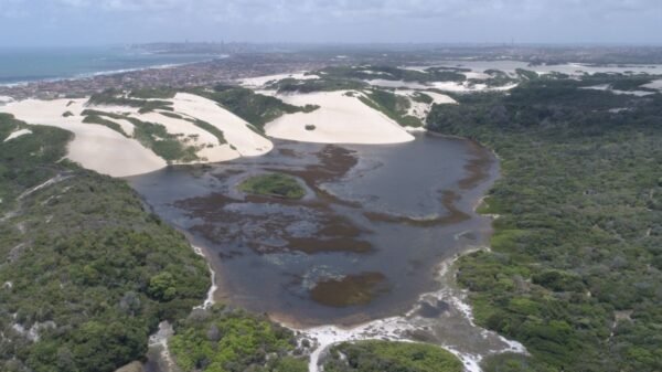 RN cria orçamento climático no PPA 2026-2027, estabelece programa exclusivo para meio ambiente e sanciona nova Política Estadual de Educação Ambiental.