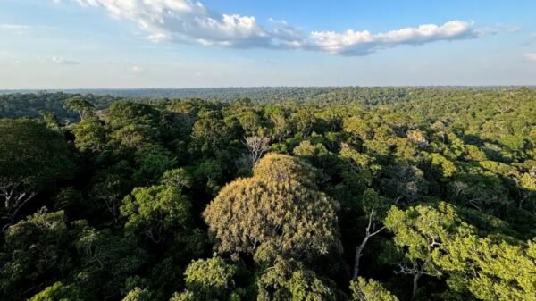 Belém sedia a COP30 entre 10 e 21 de novembro. Conferência reúne líderes mundiais para debater metas climáticas e redução de gases de efeito estufa.