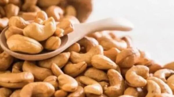 Castanha de Serra do Mel recebe Indicação Geográfica do INPI e fortalece produtores potiguares, ampliando valor, mercado e reconhecimento nacional.