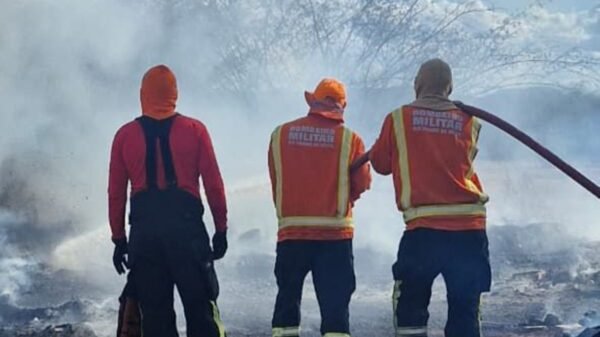 Bombeiros atendem 16 casos de incêndio em vegetação em Natal e região em apenas três dias. Altas temperaturas e ações humanas seguem como principais causas.