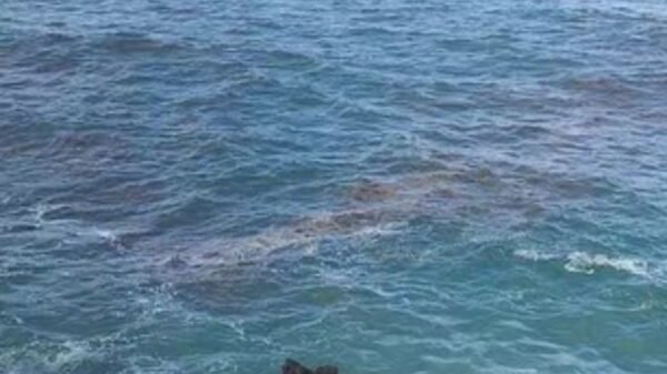 O IBAMA identificou manchas no litoral potiguar, incluindo Praia do Meio, e enviará equipe de emergência para investigar se se trata de algas ou óleo.