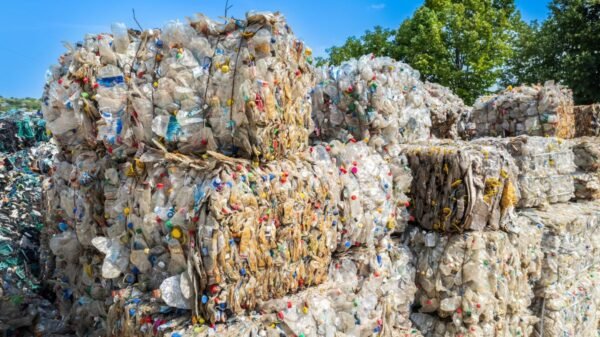 Licitação da estação de transbordo de Cidade Nova, em Natal, é suspensa para ajustes técnicos; abertura dos envelopes prevista para 7 de novembro fica adiada.