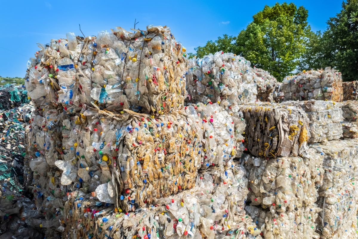 Licitação da estação de transbordo de Cidade Nova, em Natal, é suspensa para ajustes técnicos; abertura dos envelopes prevista para 7 de novembro fica adiada.