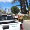 Defesa Civil esclarece situação do Baobá do Poeta após quedas parciais e reforça que decisão de manejo é da Semurb. Medidas seguem critérios técnicos.
